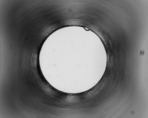 X0000103420109200810241044