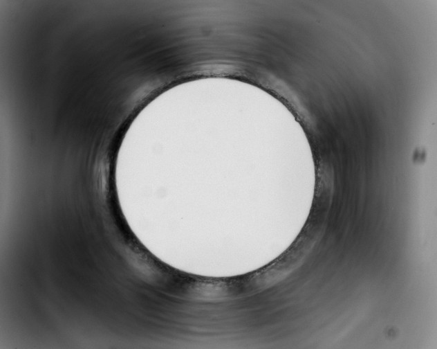X0000103420110200810241044