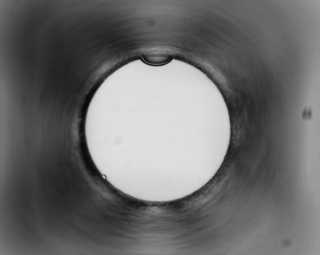 X0000103420111200810241044
