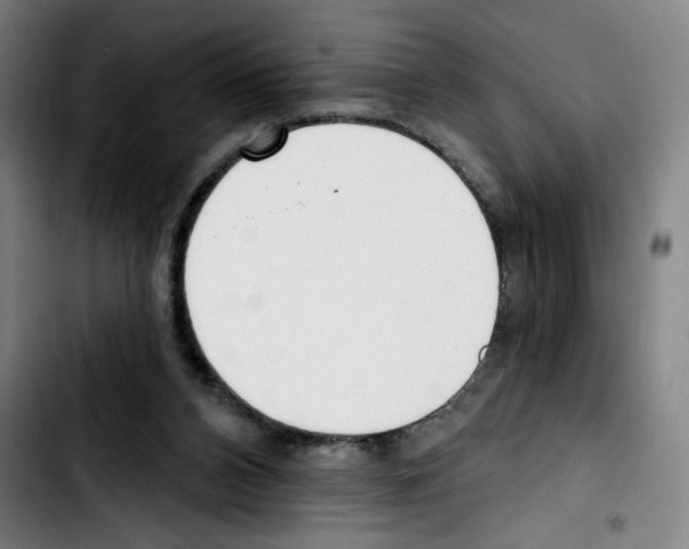 X0000103420112200810241044