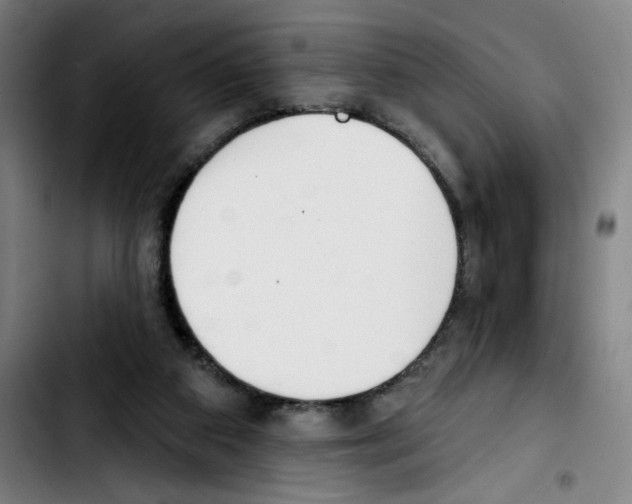 X0000103420113200810241044