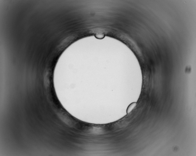 X0000103420114200810241044