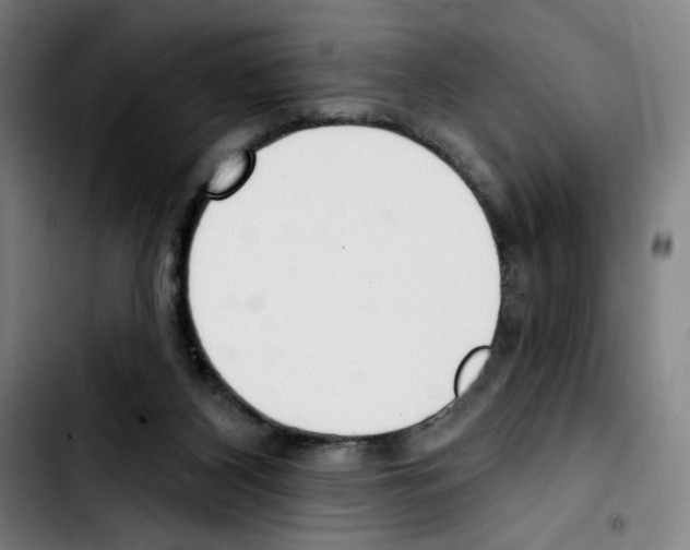 X0000103420116200810241044