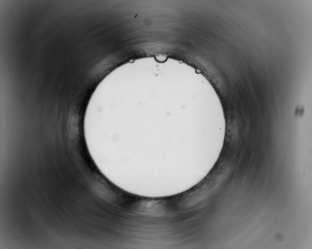 X0000103420117200810241044