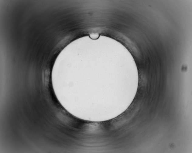 X0000103420118200810241044