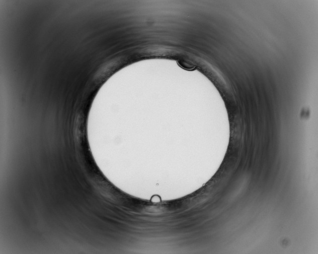 X0000103420119200810241044
