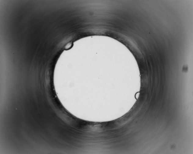 X0000103420120200810241044