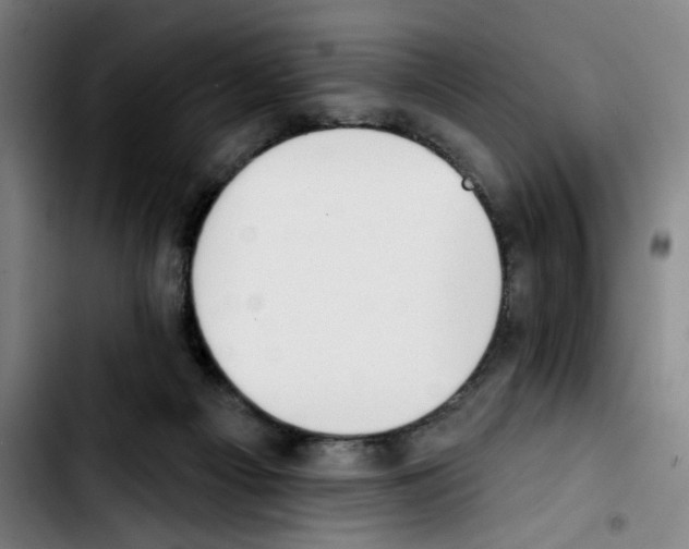 X0000103420121200810241044