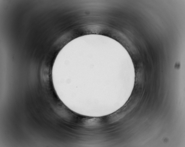 X0000103420122200810241044