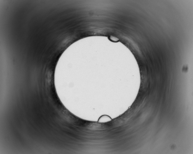 X0000103420123200810241044