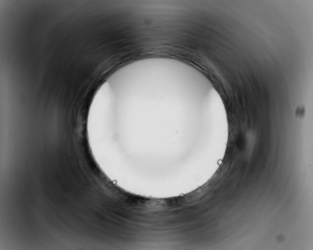 X0000103420124200810241044