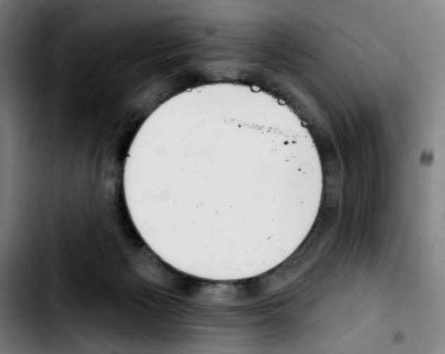X0000103420125200810241044