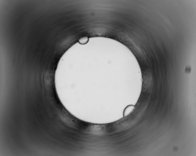 X0000103420126200810241044