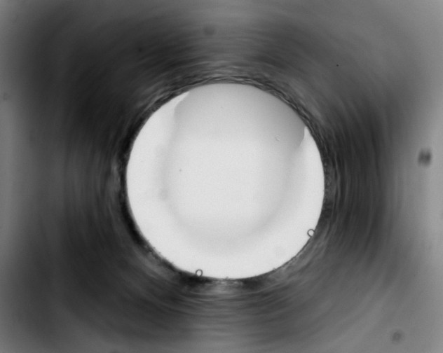 X0000103420128200810241043