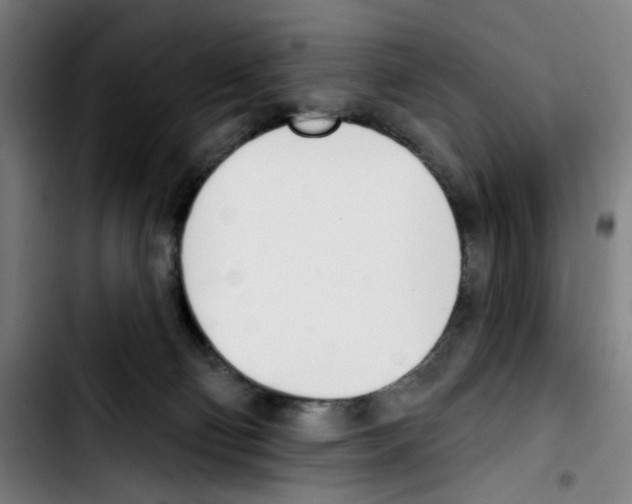 X0000103420130200810241043
