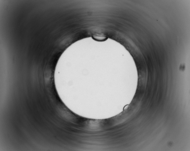 X0000103420134200810241043