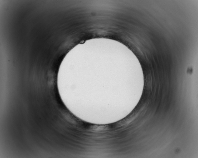 X0000103420135200810241043