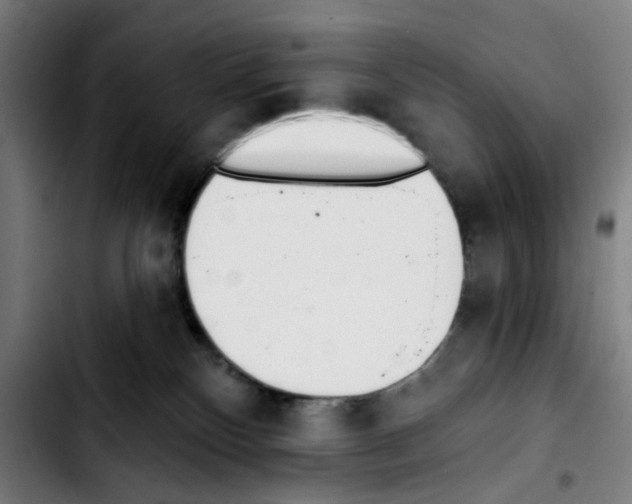 X0000103420136200810241043