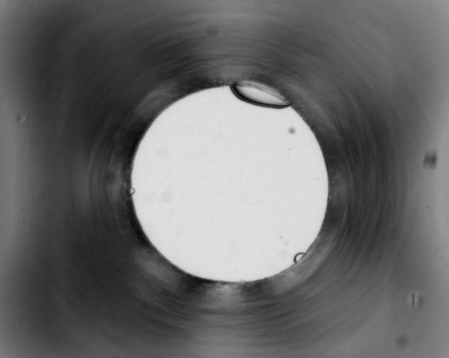 X0000103420140200810241043