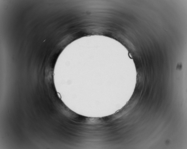 X0000103420141200810241043