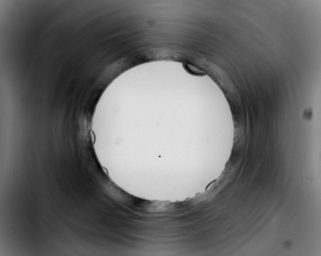 X0000103420142200810241043