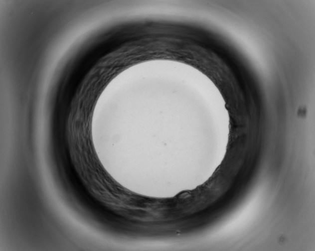 X0000103420143200810241043