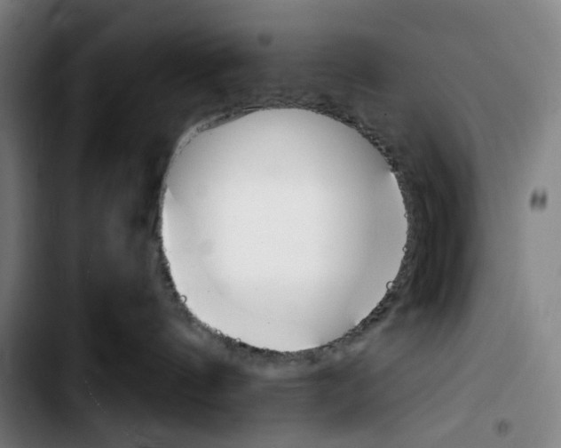 X0000103420144200810241043
