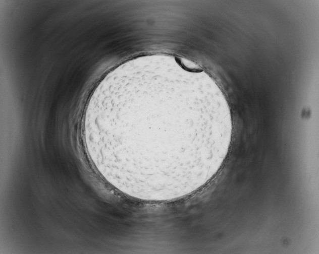 X0000103420145200810241043