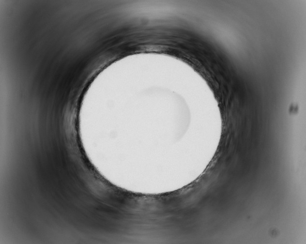 X0000103420146200810241043