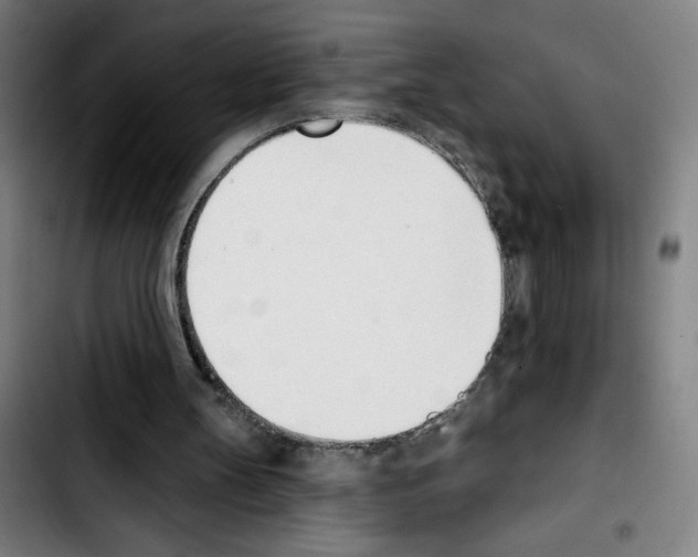 X0000103420147200810241043