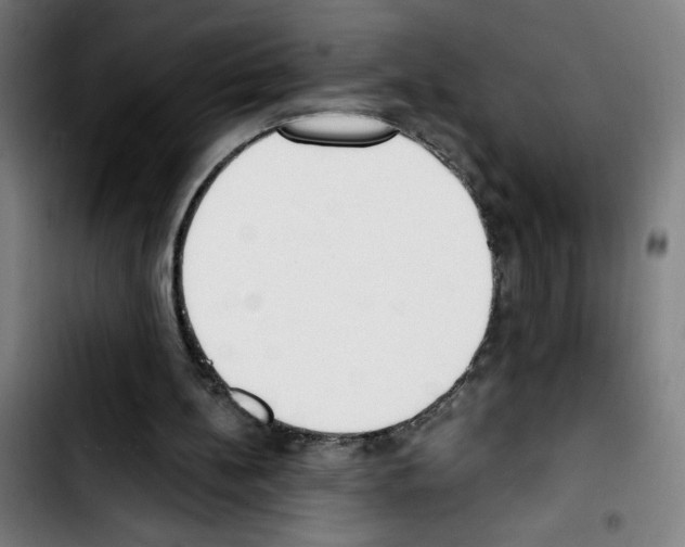 X0000103420148200810241043