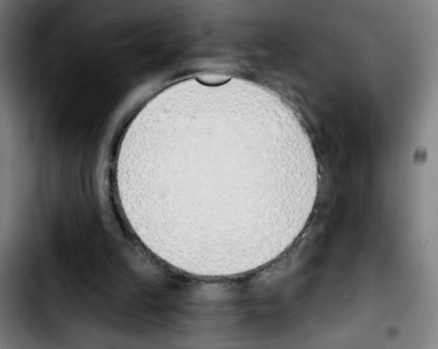 X0000103420149200810241043