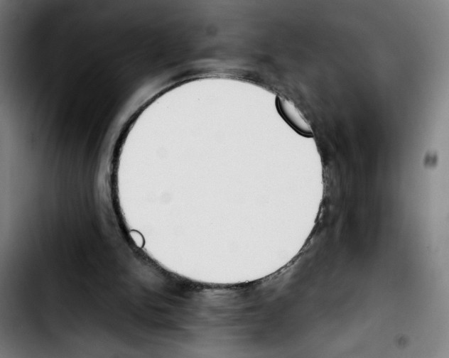 X0000103420150200810241043