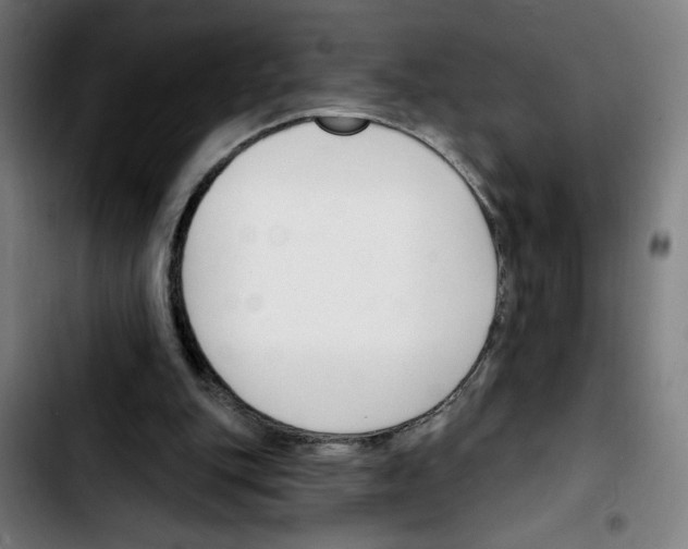 X0000103420151200810241043