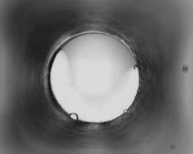 X0000103420152200810241043