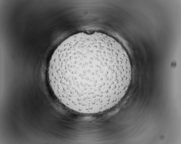 X0000103420153200810241043