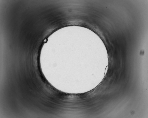 X0000103420154200810241043