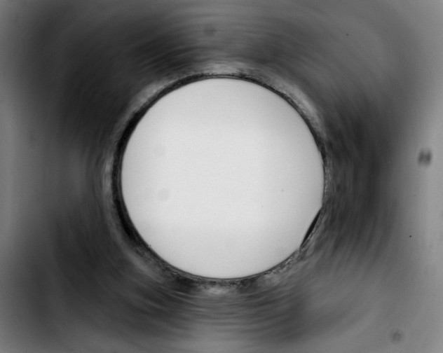X0000103420155200810241043