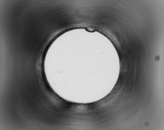 X0000103420156200810241043