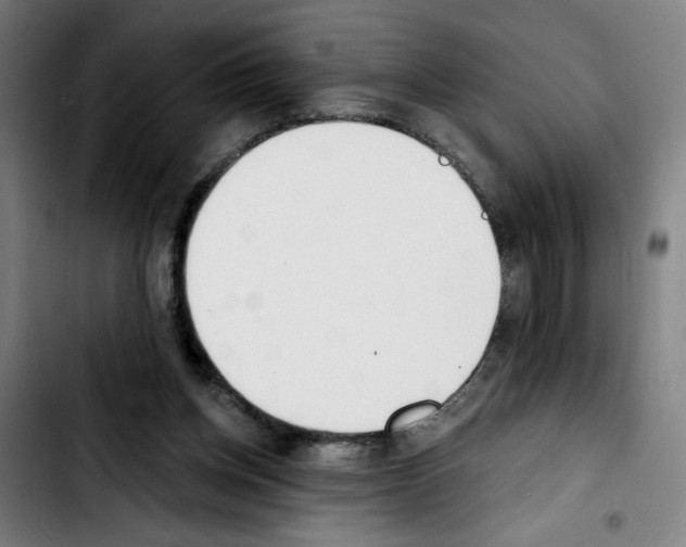 X0000103420158200810241043