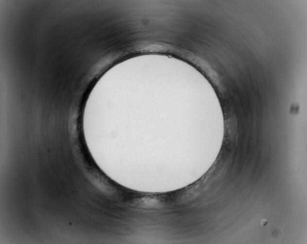 X0000103420159200810241043