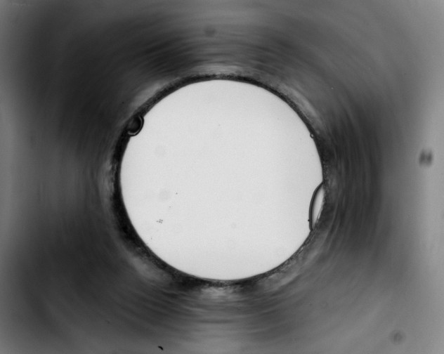 X0000103420160200810241043