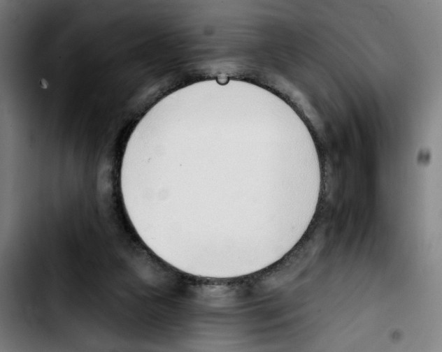 X0000103420161200810241043