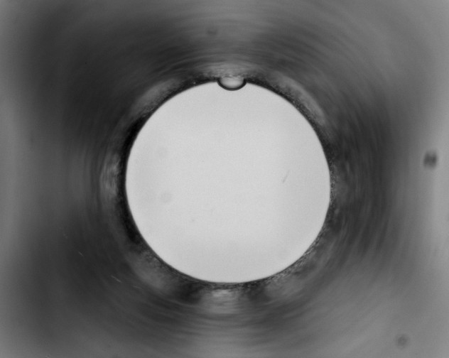 X0000103420163200810241043