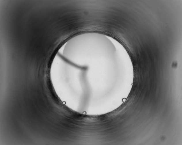 X0000103420164200810241043