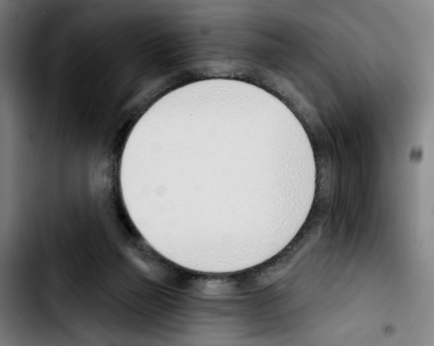 X0000103420165200810241043