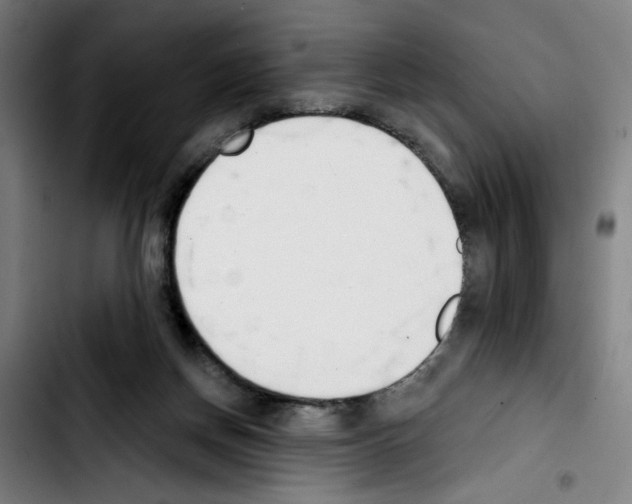 X0000103420166200810241043