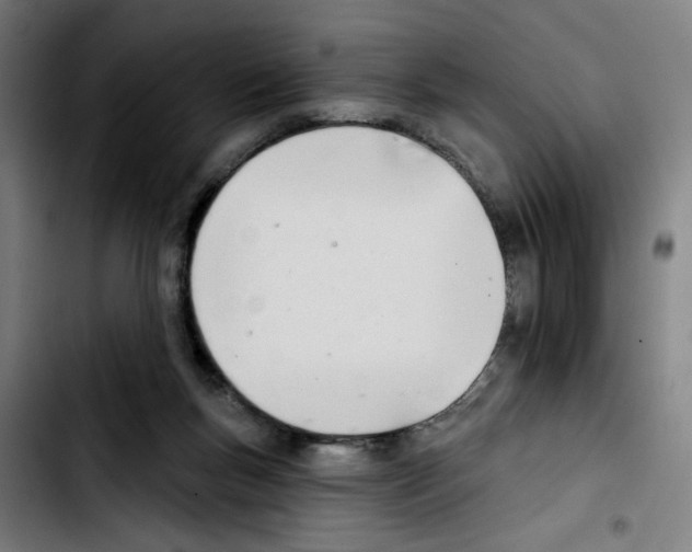 X0000103420167200810241043