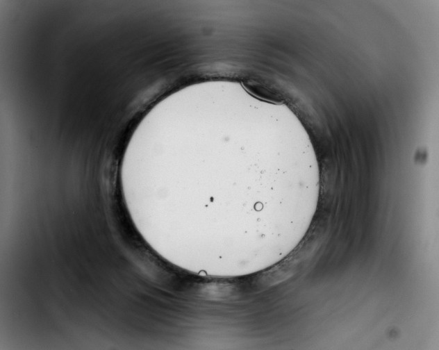 X0000103420168200810241043