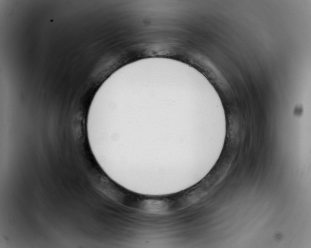 X0000103420169200810241043